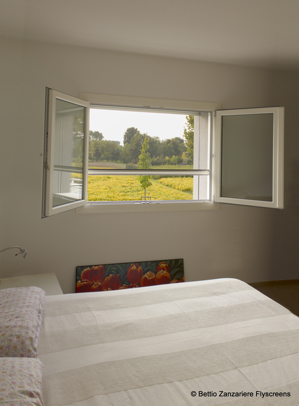 Giudy Bettio neta ventana del mosquito