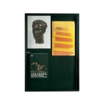 Tablón para Oficina Anuncios Magnético con Cerradura