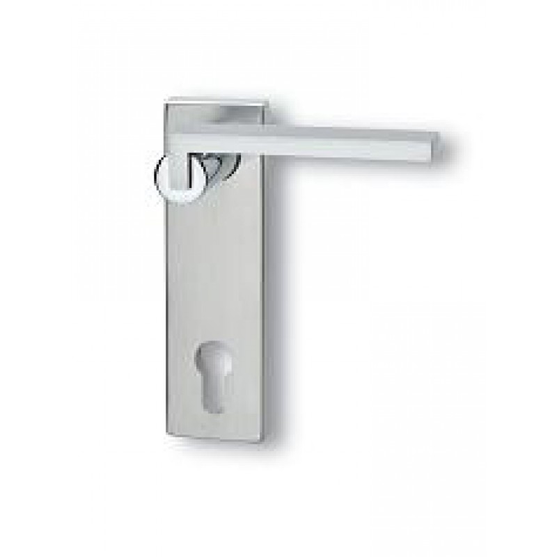 Par de manillas con placa Ghidini Descartes Q OCL-M4 / F1