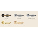 Manilla Linea Calì Delfino para Puerta Clásica en Latón con Roseta