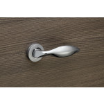 Manilla Linea Calì Delfino para Puerta Clásica en Latón con Roseta