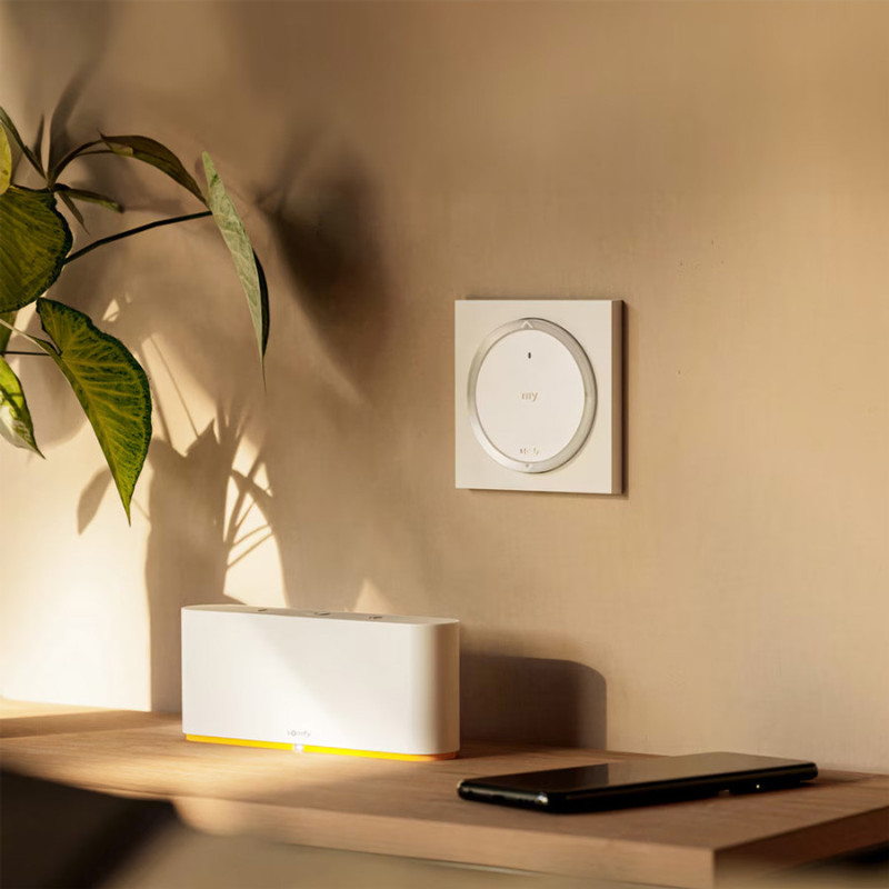 Somfy Amy io Control Remoto de Pared con Marco Cuadrado o Redondo