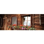 Mosquitera Bettio Sonia cassonetto general 60mm tradicional vertical Primavera