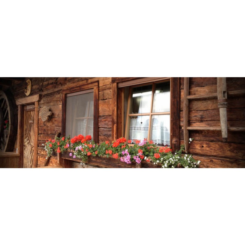 Mosquitera Bettio Sonia cassonetto general 60mm tradicional vertical Primavera